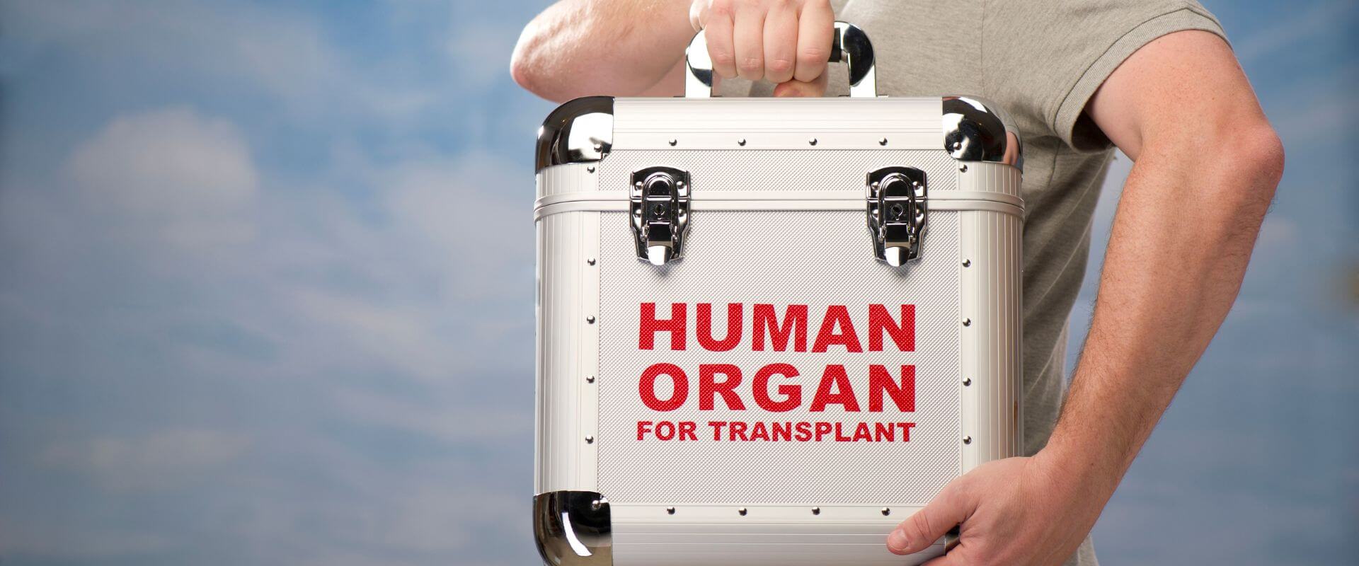 Medicare and Transplants image